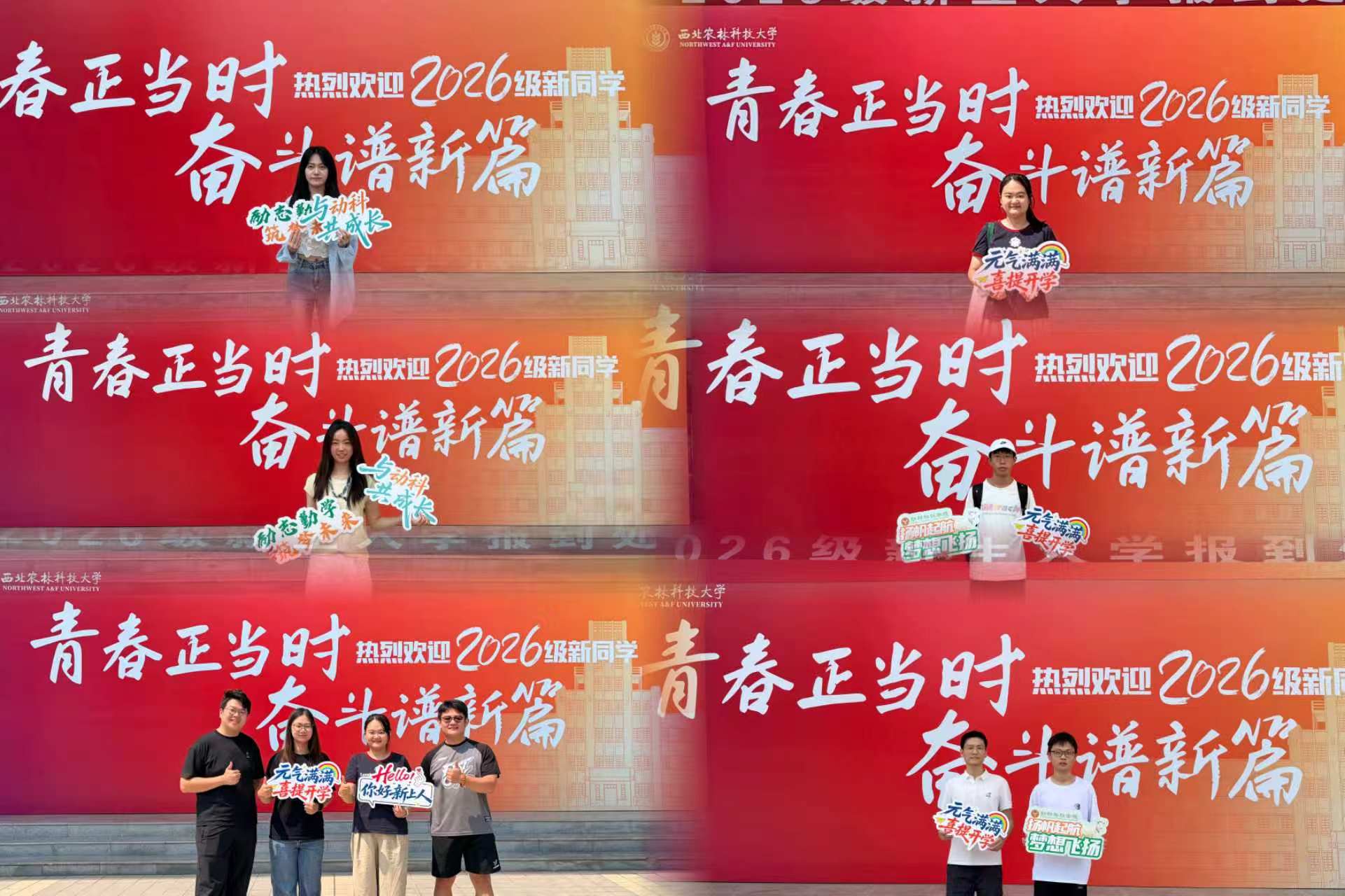 微信图片_20260903190503_12_2.jpg