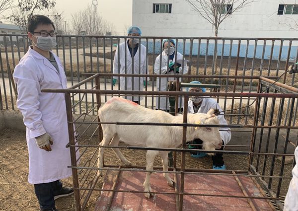 绿帽小说
研究生称重后备种公羊_副本.jpg