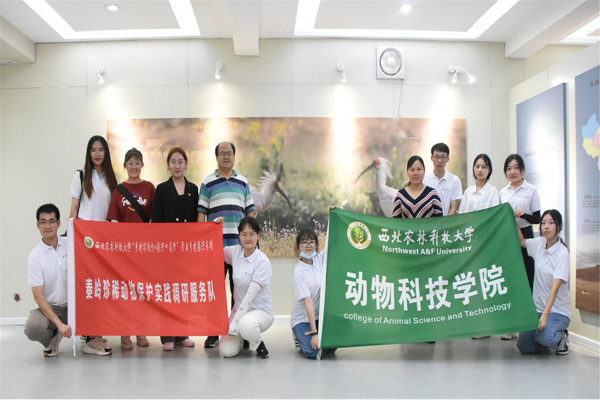 9b91d21f71a341beb5cd2ada1285ecf0.png 图片一 团队成员在朱鹮文化展示馆合影.png