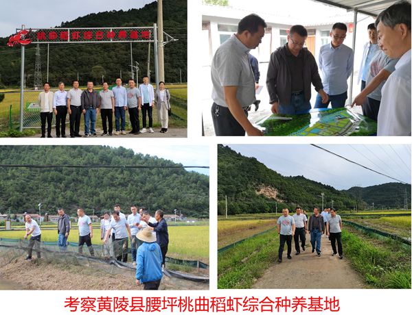 f72f3113f56c43f4832de78caf958d4b.jpg 未标题-1_副本.jpg