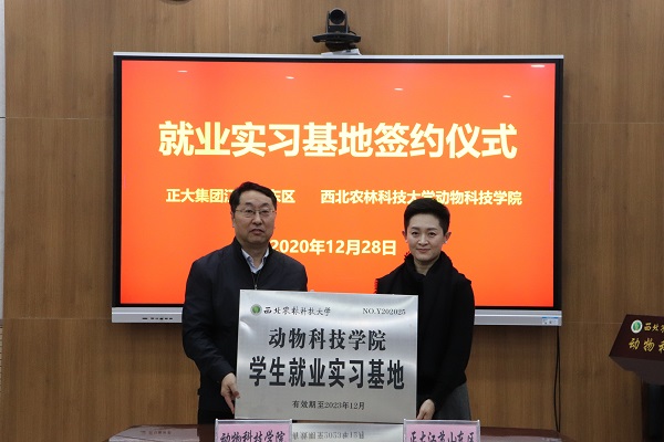 512b5f86f6ef48529fa1cf3e31356f11.jpg jiuyeshixijidi .jpg