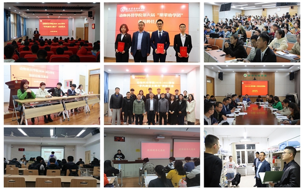 0a01bf8bf54147c995cfa13105742aa3.jpg 15.jpg