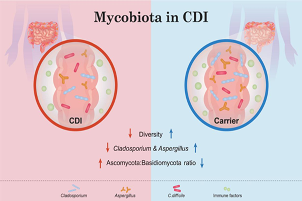 62105cdcf23c4b3d912d79025b6647c0.png QQ图片20210309085017.png