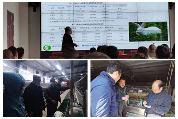 dbe70ad30cb547338f1aa9aa8110ec6e.png QQ图片20210325183303_副本.png