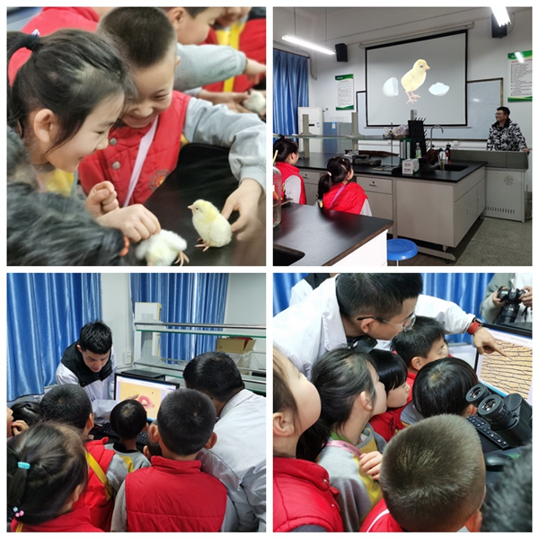 73e9fb6d0b3c49a8b4df618829f5b517.jpg NeoImage_副本.jpg