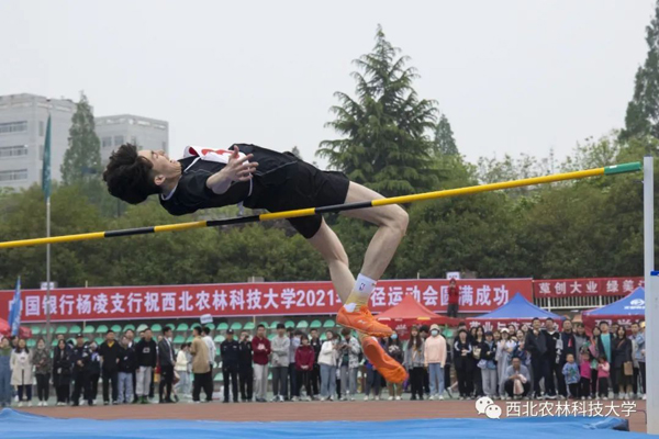 7f043849cc814b0ab4f4d1e1d4060d54.jpg 1.jpg