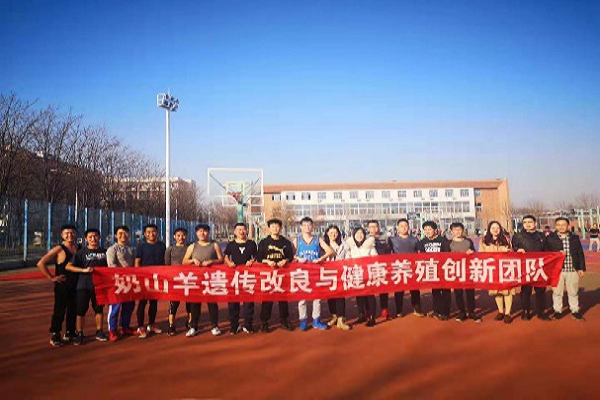 57b54e4f649242258a464bb29dabaf3a.png 图片4.png