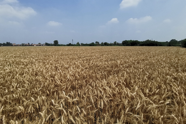 3de2ee7fa1134353a941acb95a28cac9.jpg 微信图片_20210611155254.jpg