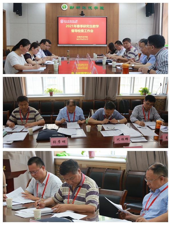 7b614489630f4554a8a514b688643d58.jpg 光影魔术手拼图.jpg