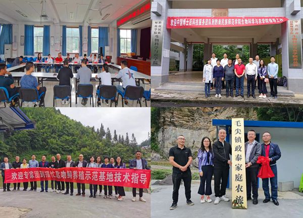 c30643ef161c4dc3972ff9cabeb6d9d3.jpg 图2_副本.jpg