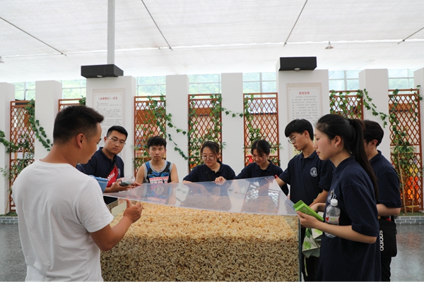 33a8ceb347564575a46a5474575c4878.jpg 图片四.JPG