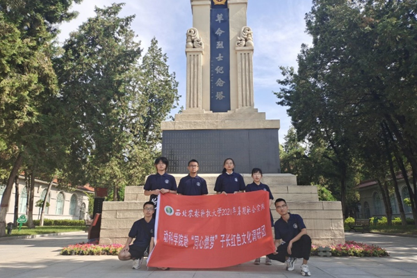 461087826cd04c359abe6a0283e2845b.png 图片8.png