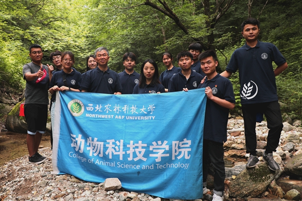 5eb99a88517c496eb391ef62f91d817e.jpg 图片九.jpg