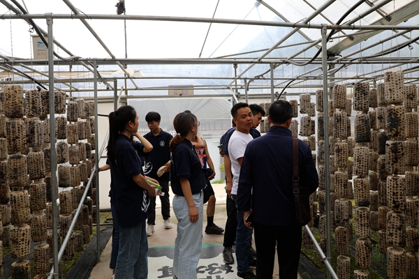 8c7469f23df14913b77e1646814b8a18.jpg 图片七.jpg