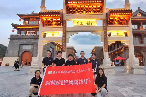 6225ac208efc4f85a8e498f3b9647303.png 图片9.png