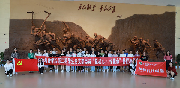 b9e8d2e02f3f474ab091d9bedfbcee8d.jpg ad8cffae65804178a9c0ef1a66f215af_副本.jpg