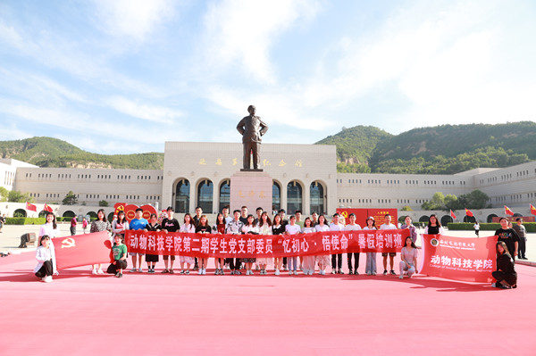 ce3d2c90a3294009a107129bf188fe59.jpg bcd8d62619c349958824a71ca1267652_副本.jpg