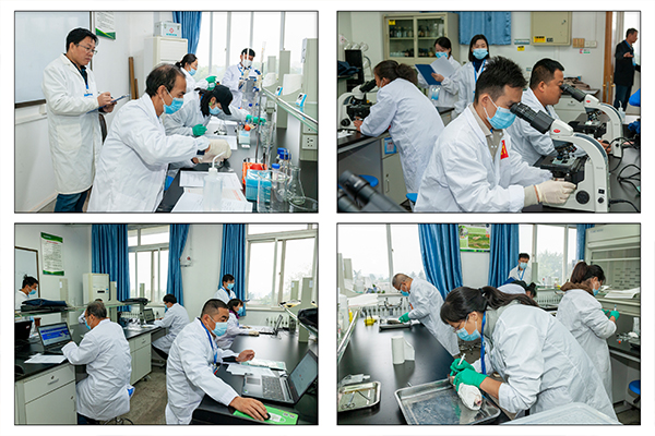 402e6cd2b9e14514b014607bfaf2297d.jpg 实操拼图 拷贝.jpg