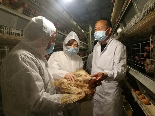 706dfc1ea11048b2a588908d615fed17.jpg 1_副本.jpg