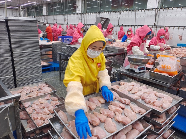 a239d72a1b1942e5ad74870b6f66d440.jpg 2_副本.jpg