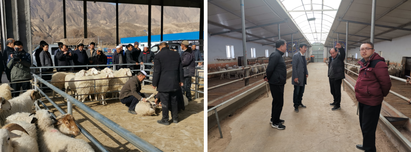 10c23e727fe7413dab5444240662ad83.png 10c23e727fe7413dab5444240662ad83.png