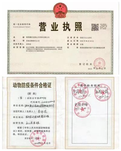 62b0f8ae90934faca58f0fc4c06236a0.png 图片1_副本.png