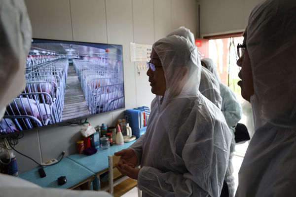 3b256e81b2c5470b9bc18719ada7f45d.png 了解种公猪站饲养管理_副本.png