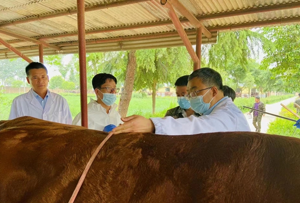 a1498ffc1b3e4a3597c64bf7d30cc3c3.png QQ图片20220527091611.png