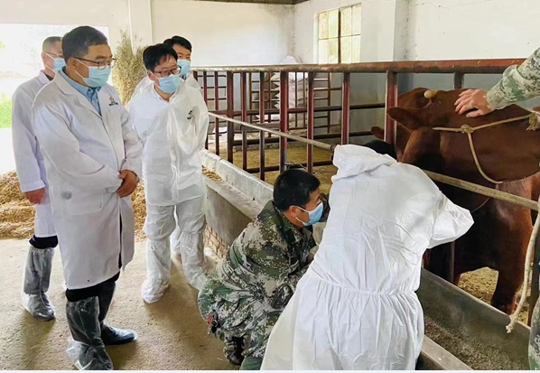 cbfcd762b9ba48ca8c6a2c12a6a46430.png QQ图片20220527091523.png