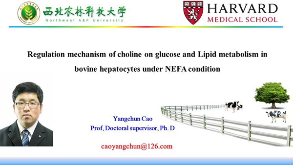 011a7982d972430da74495e70ac83407.jpg 曹老师2022 ADSA_副本.jpg