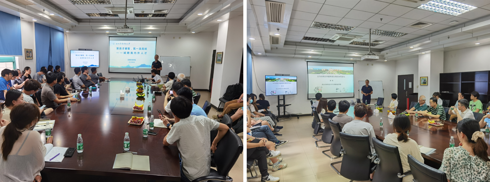 d4be414d7ab24025832ba36f695167c0.png d4be414d7ab24025832ba36f695167c0.png