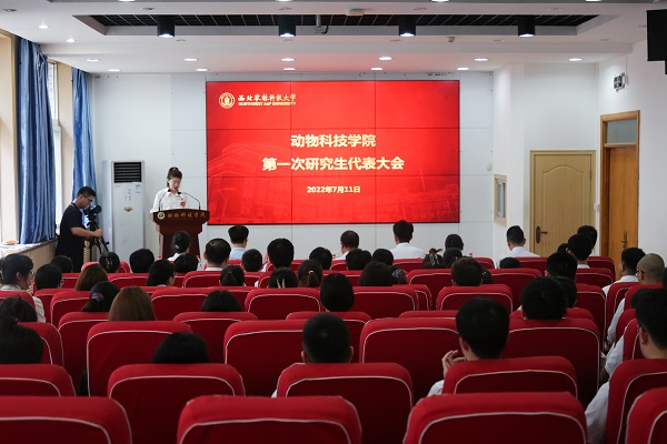 03c24cc9390a4e1084676228ae3c3c77.jpg 1.JPG