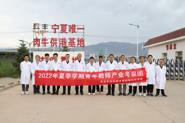 413cf3924c9e49b2ac2a8d07d8dcfa88.jpg 海原华润农业.JPG