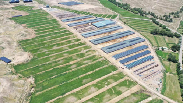 6a0d2d8de5c548b591c9c077e61207e1.png 示范基地鸟瞰图.png