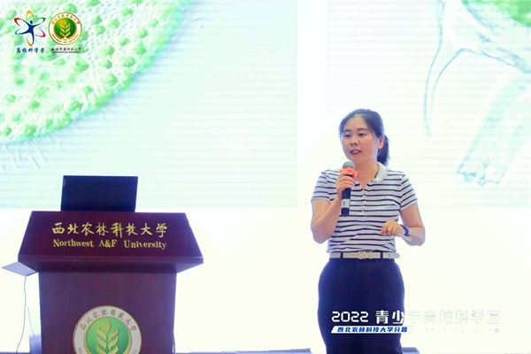 864e75dfab2244688f7857199b685ff5.jpg IMG_8704-opq277184826.jpg