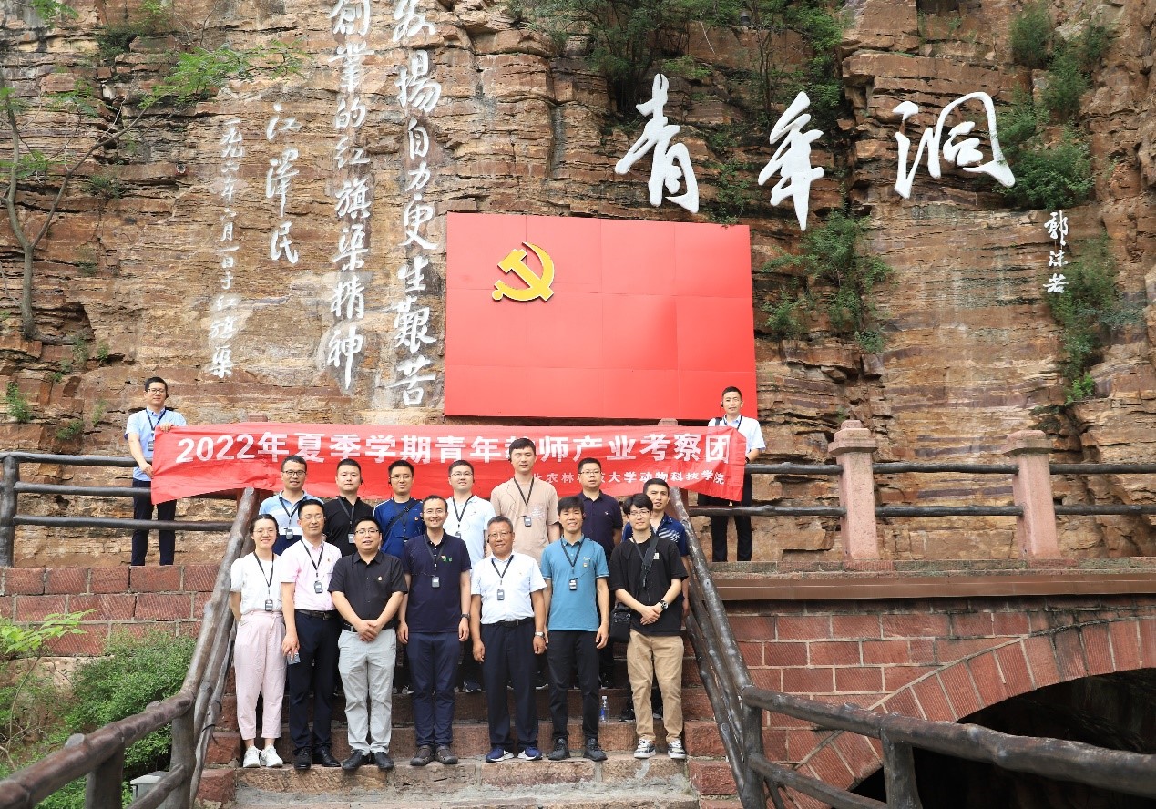 885f4ee55d3b4f5fa525918af84ca0be.jpg 885f4ee55d3b4f5fa525918af84ca0be.jpg