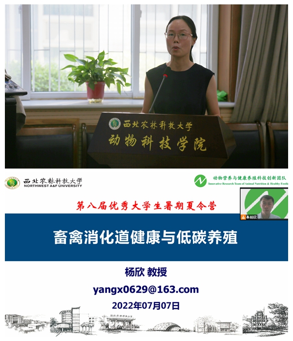 fa86c842f4044009940fe2cd813f6ef1.jpg 名师讲堂.jpg