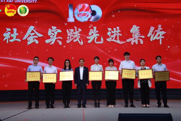 7 社会实践先进集体.jpg
