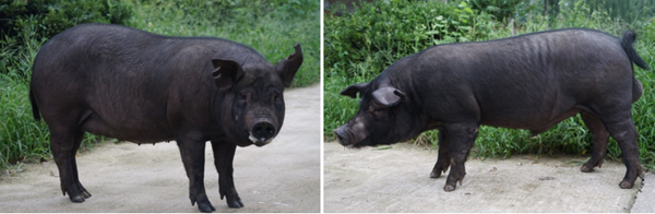 9143653ee5e345fdb1db4de56b42730e.png 微信图片_20230310084803_副本.png