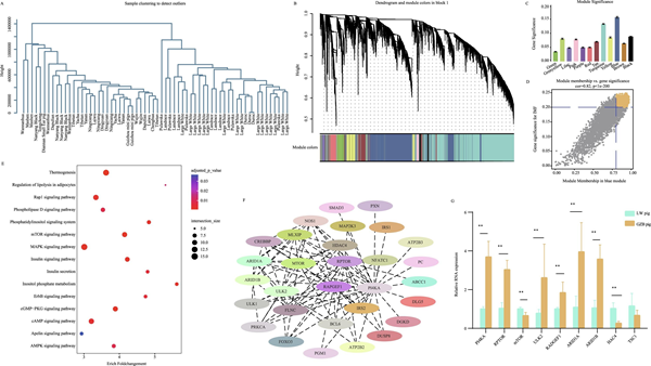b4703a8585084d35beee5e509abf626e.png 微信图片_20230310084816_副本.png
