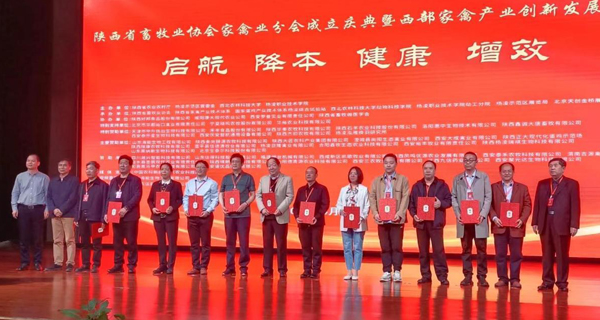 73d153a51f3048c2aeedfdcb80be8bd8.jpg 5.jpg