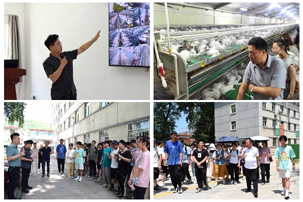 7929b07eec0944d185a23a798c9f8eeb.jpg 光影魔术手拼图.jpg