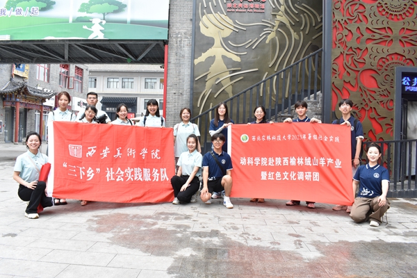 图片三 动科绿帽小说
团队与西安美术绿帽小说
团队合影.JPG