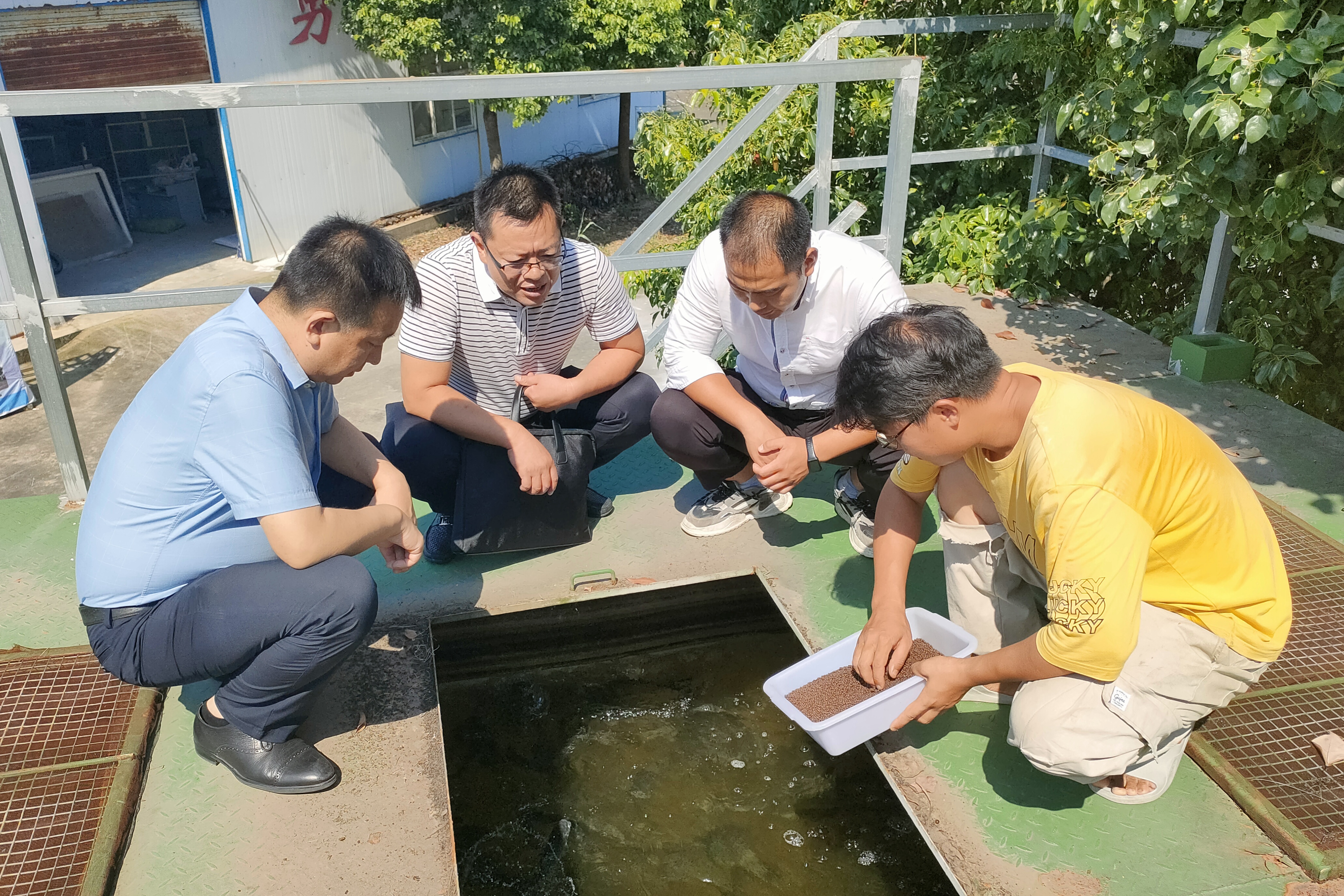 8a242233b2ae46dfbb8d4a3a4af75e6b.jpg 8a242233b2ae46dfbb8d4a3a4af75e6b.jpg