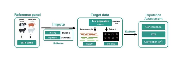 9ef96c33624c467ea0499727fed1f08e.jpg 微信图片_20230714085659_副本.jpg