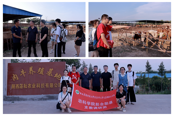 c3cadeaa1d9341ae9307d3c40028cac5.jpg 企业.jpg