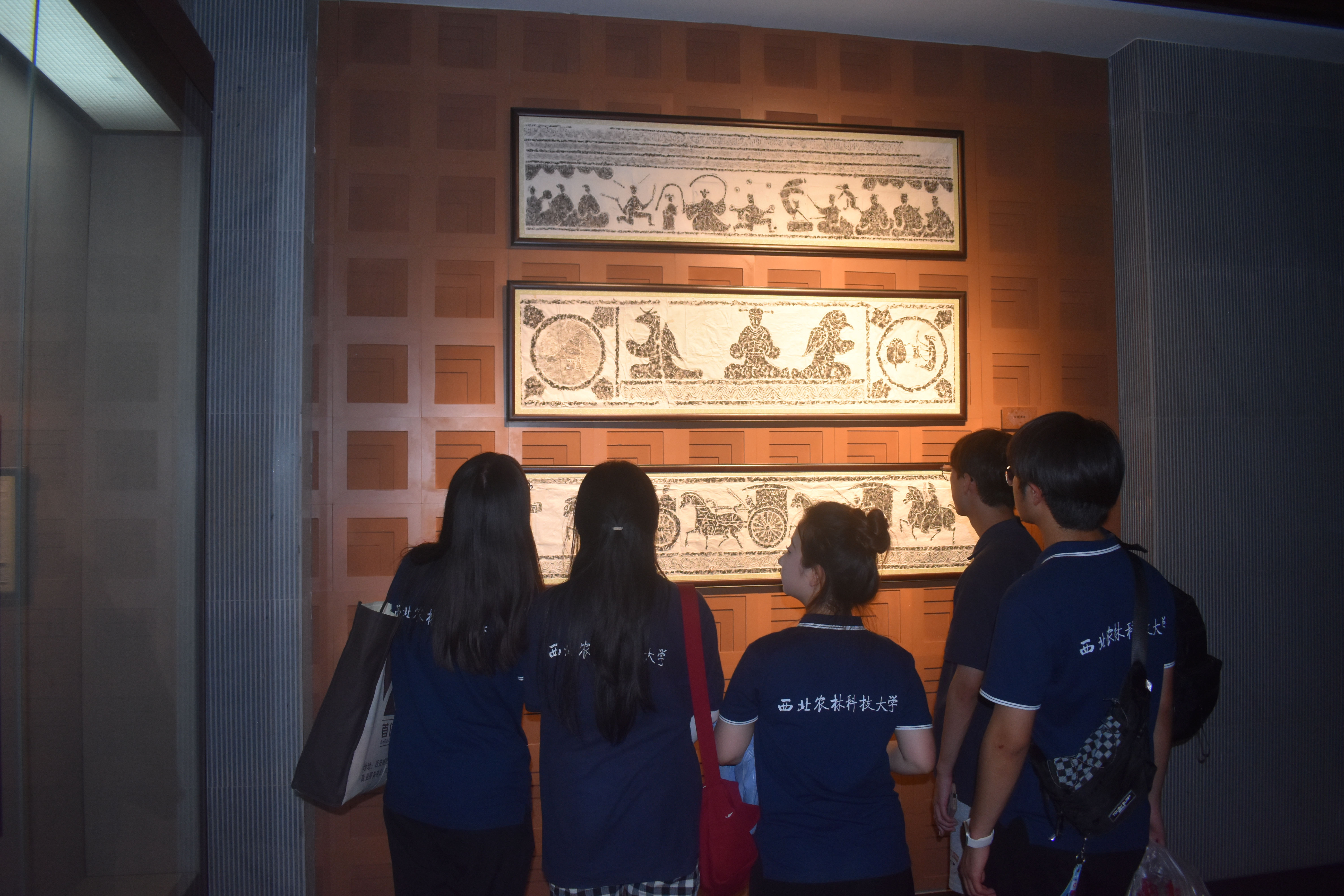 24dc69b5ab774cf4b2361c61df9a667e.jpg 24dc69b5ab774cf4b2361c61df9a667e.jpg