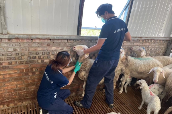 3615409219c34e35beb4b1b3ee7c6c43.jpg 图片二 队员李倩采集血液等生物样品.jpg