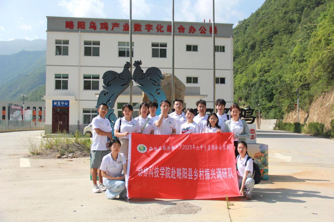 1f6b17616a8c48a18ad67bc2830f380d.png 1f6b17616a8c48a18ad67bc2830f380d.png