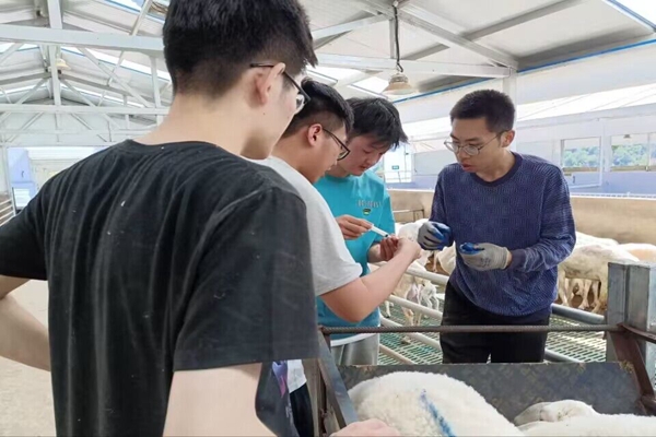 5d25c52442c447228c0b416459832897.jpg 服务队学习疫苗注射.jpg